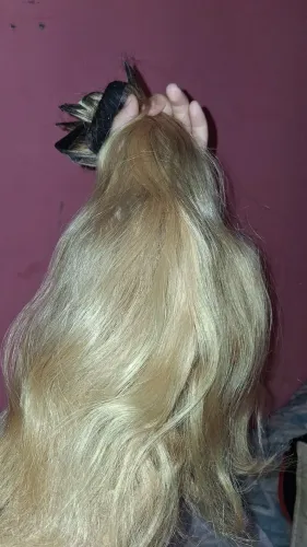 Cabelo