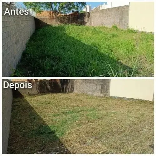 LIMPEZA DE TERRENO E QUINTAL