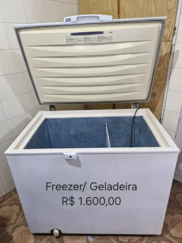 Freezer Electrolux 305 Litros Semi Novo