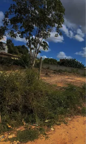 Terreno em Salgado - Se