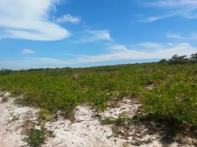 OPORTUNIDADE-  grande terreno na Tapera em Aquiraz medindo 1560m²