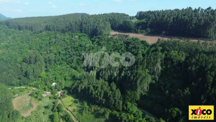 SÍTIO / CHÁCARA PARA VENDA EM NOVA PETRÓPOLIS / RS NO BAIRRO SÃO JACÓ