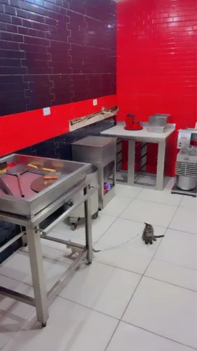 Oportunidade única 