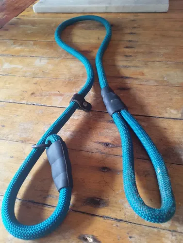 Guia unificada para cães 