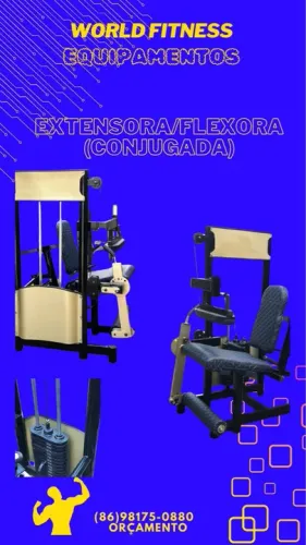 ACADEMIA EM GERAL