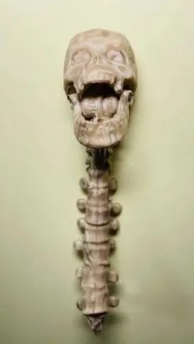 Marvel Legends Acessório Caveira com Coluna Vertebral Altura 7 cm p/ customização custom
