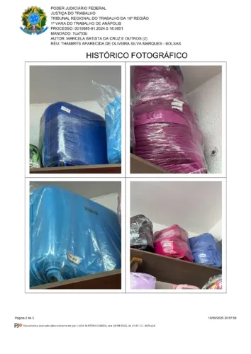 Leilão Judicial de Várias Bolsas, mochilas e acessórios, com lance inicial de 50%