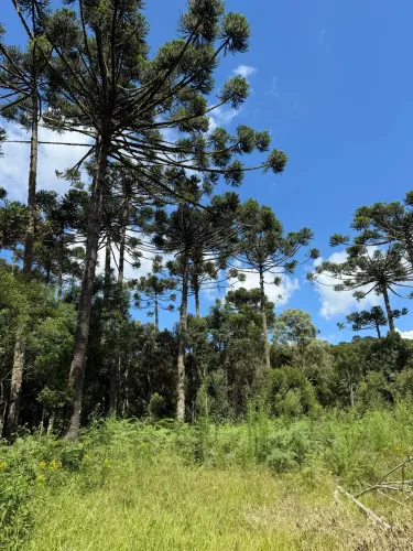 Terreno com ótimo acesso, energia elétrica instalada e boas condições de pagamento