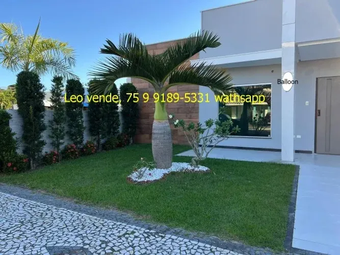 Leo vende, Sta Mônica 2, sendo 3\4 suíte, dependência