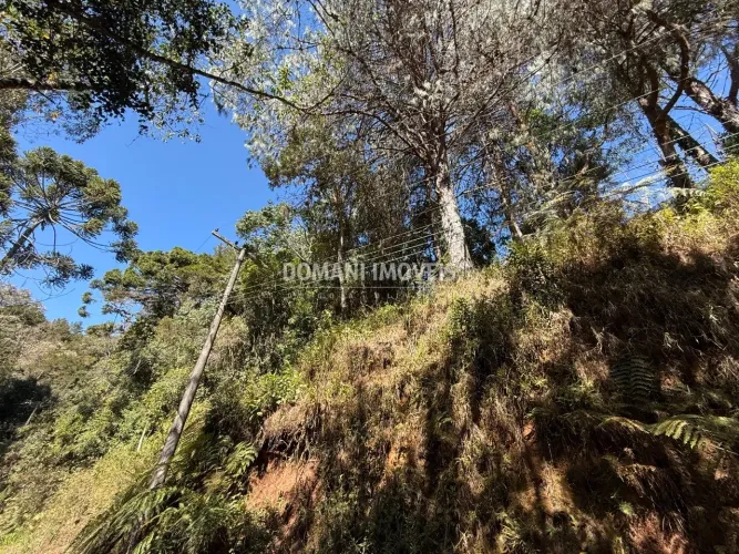 Lote de Terreno com Localização Excepcional na Região de Capivari - Campos do Jordão/