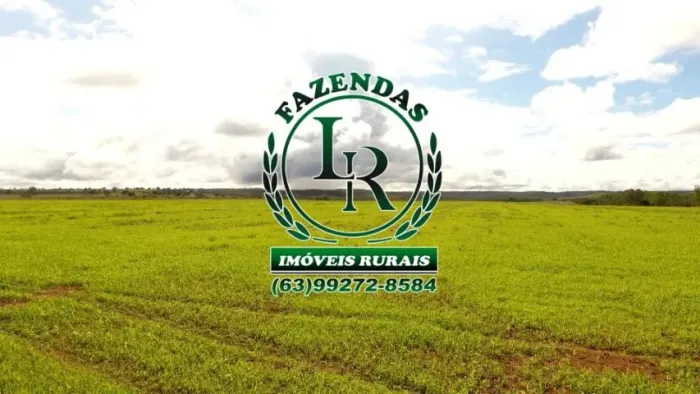 Fazenda Beira Asfalto, 1.850 hectares, Plantando soja Tocantins.