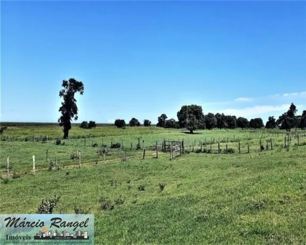 Fazenda plana 153 alqueires, criação de gado, em Dores de Macabu, Campos dos Goytacazes