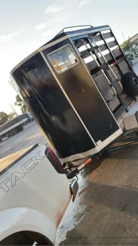 Transporte de Cavalos
