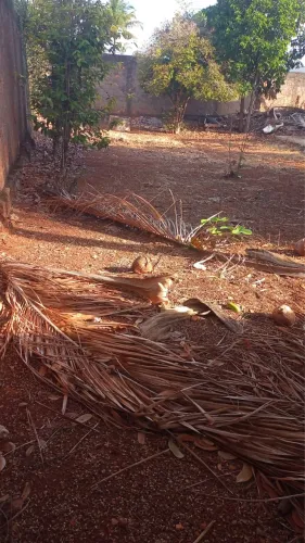 Alugo área de 268 m2 no Taquari