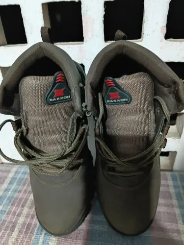 Bota