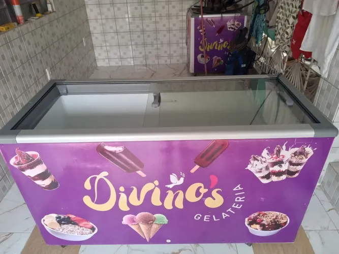 Freezer fricom 550 L.