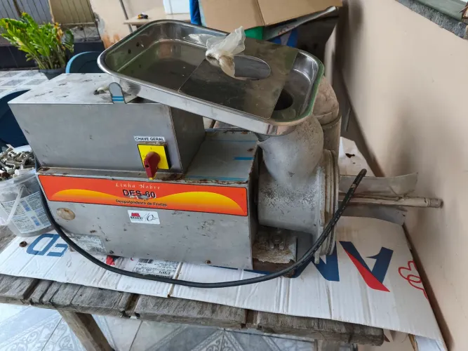 Despolpadeira 60 kg 