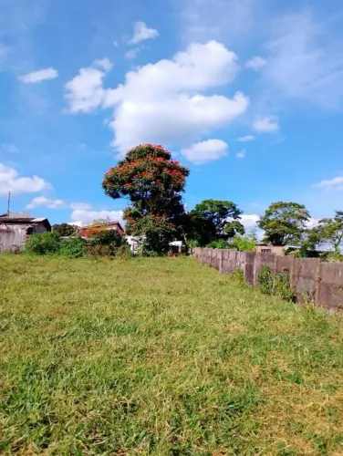 Oportunidade : Área de terra à venda de 10.000m2 no Jardim Primavera - Cerqueira César - S