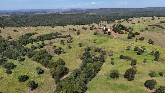 FAZENDA 100 ALQUEIRES EM BARRA DO GARÇAS-MT | 60% AGRICULTURA | R$ 15 MILHÕES
