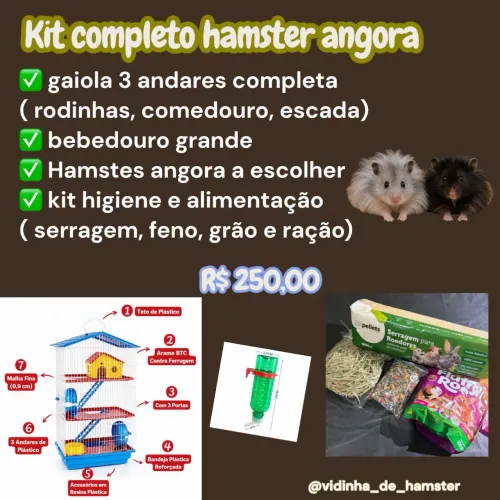 Hamster angora + gaiola 3 andares + bebedouro grande + kit comida e higiene