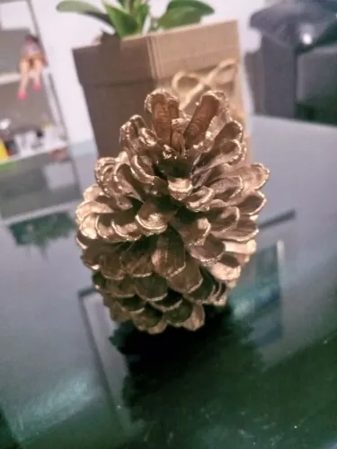 25 Pinhas