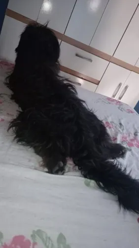 Doação