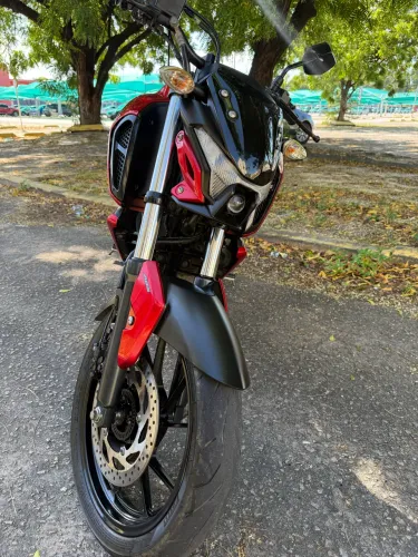 Fz15  2024