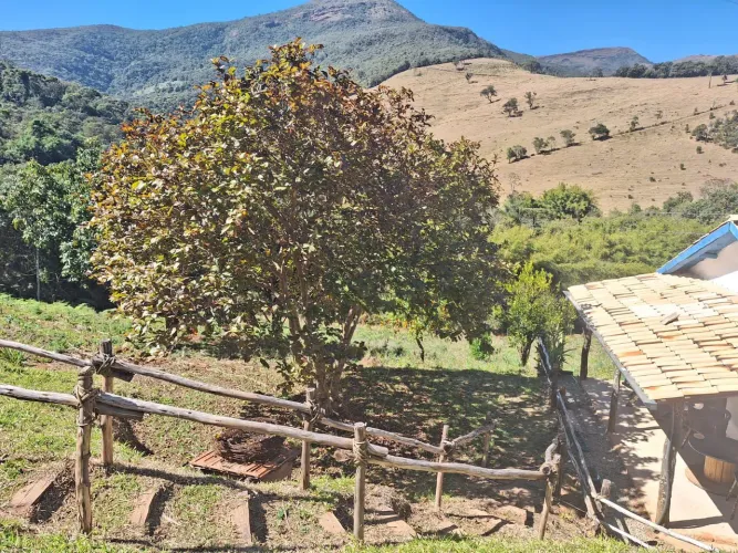 Sitio oportunidade