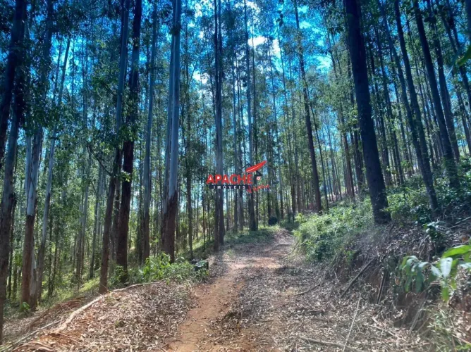 Terreno de 39,000,0 m²