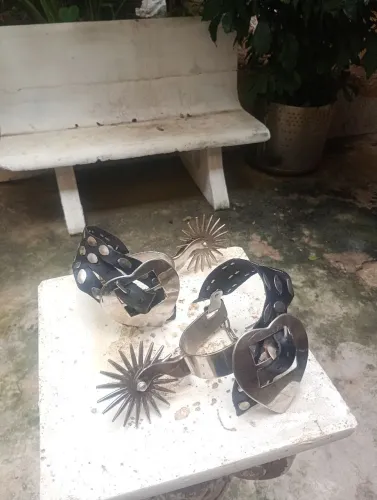 Cavalo 