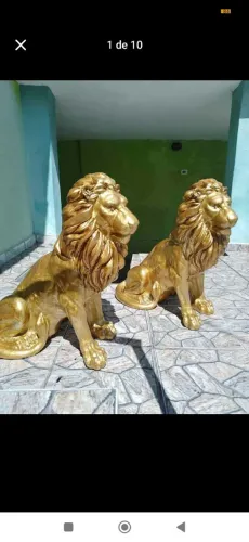 Leão sentado no cimento resinado