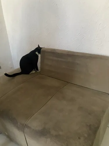Sofá 2 lugares