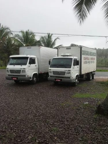 Transporte de cargas e Mudanças