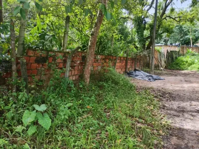 Sitio - PALMARES - Simões Filho Ba - Oportunidade UNICA