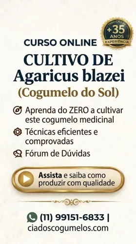 Aprenda um Negócio Lucrativo: Curso de Agaricus blazei