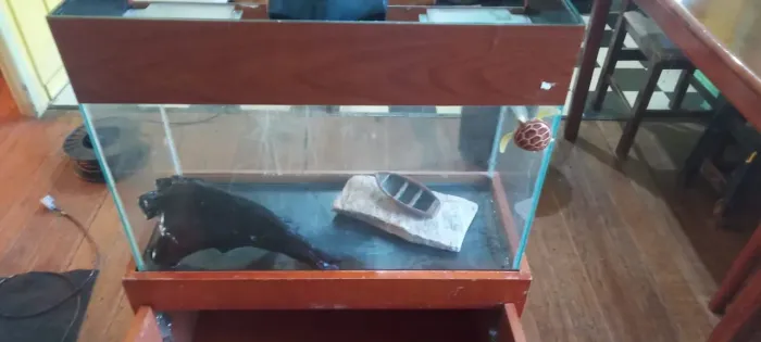 Aquario 40 ltrs