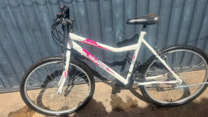 Bicicleta feminina