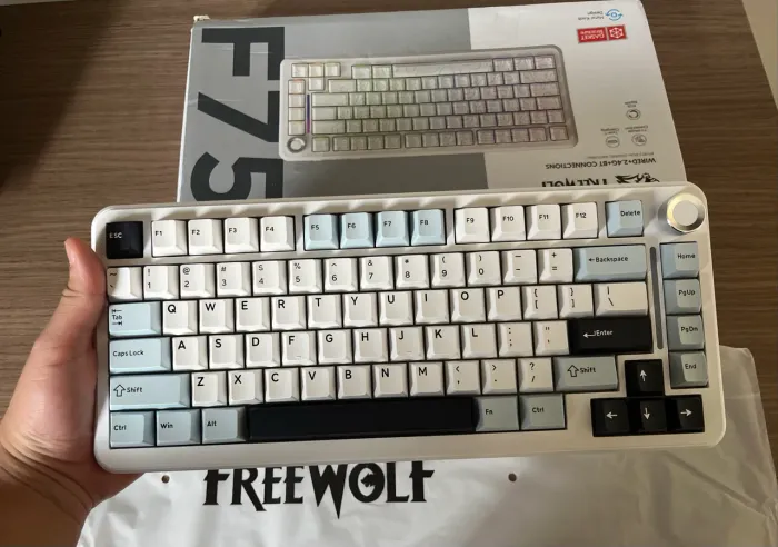 Teclado Gamer sem fio FreeWolf F75