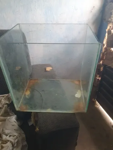 Vendo o aquário, não sei a metragem, só sei que é grande.
