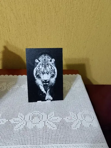 Placa decorativa de Tigre