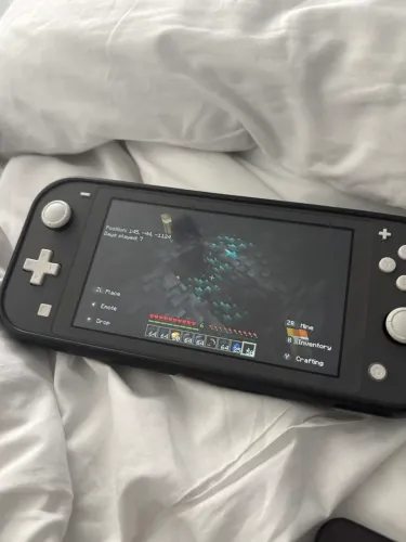 Nitendo switch lite cinza?