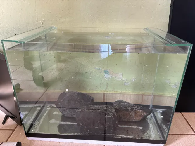 aquário 50 litros