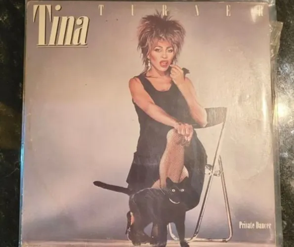 LP Vinil Tina Turner Private Dancer