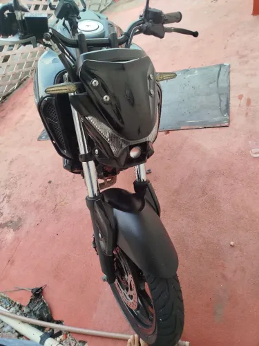 Fz15 2023