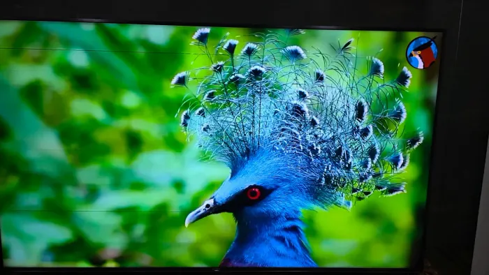 Sony Bravia 75? 4K HDR XBR-75X905F - Smart TV Premium