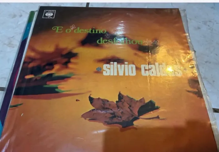 Disco