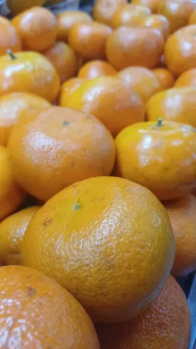 VAGA EM LOJA DE HORTIFRUTI