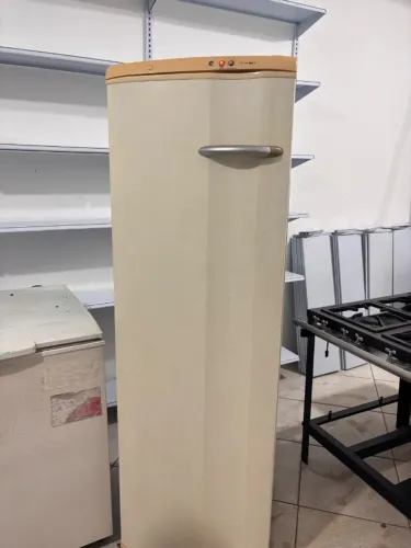 Freezer vertical
