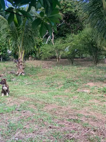 Chácara a venda