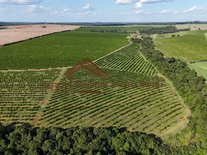 Fazenda com 197 alqueires na região de Avaré-SP